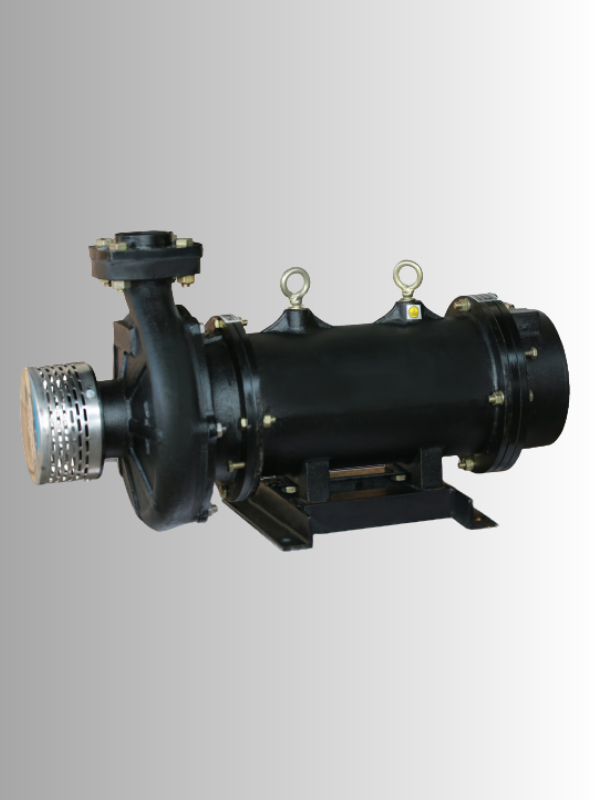 6" Stainless Steel Pump
